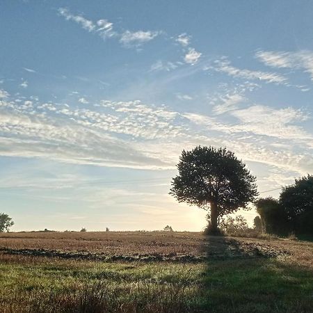 Au Mont & Merveilles Sartilly-Baie-Bocage Экстерьер фото